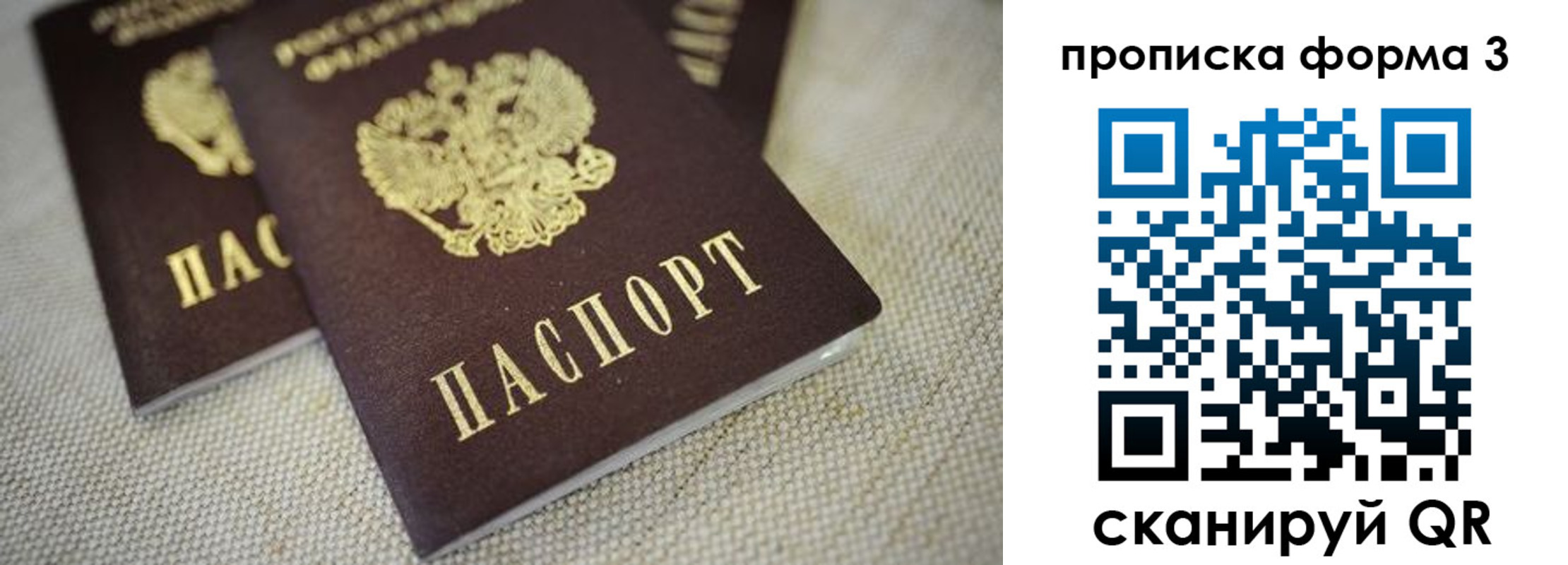 прописка поиск в Курганинске